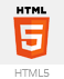 html5